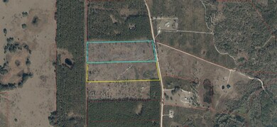 0 NE 35th Ave unit MFRGC535346, Bronson, FL 32621 - photo 4