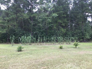 109 Railroad Rd, Colquitt, GA 39837 - photo 2