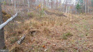 180 Spring Hollow Ln, Great Cacapon, WV 25422 - photo 3