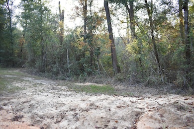Lot 1 Lakeview Rd, Caryville, FL 32427 - photo 5