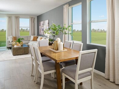 9142 Dalera Cove, Palmetto, FL 34221 - photo 3