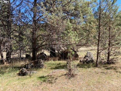 0 Nans Rock Rd unit 21028873, Mount Vernon, OR 97865 - photo 7