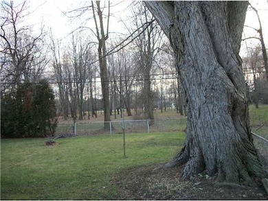 Yard/Garden