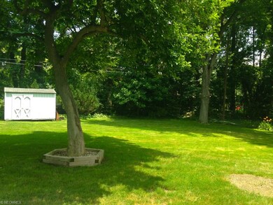 Beautiful partially-shaded backyard with shed.