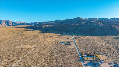 6667 Peterson Rd, Twentynine Palms, CA 92277 - photo 7