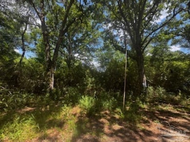 1329 Beaver Dam Rd, Bonifay, FL 32425 - photo 7