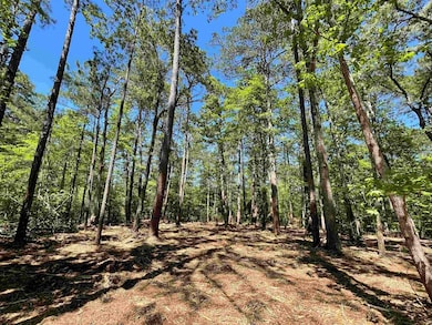 237 Senita Dr, Sam Rayburn, TX 75931 - photo 2