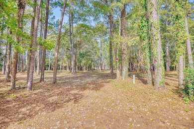 4250 Lilac Rd unit 4250 Lilac Road, Myrtle Beach, SC 29588 - photo 6