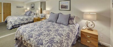 100 Michigan Ave unit 235, Charlevoix, MI 49720 - photo 7