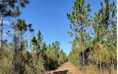 0 SW Spur Rd unit 121583, Lee, FL 32059 - photo 4