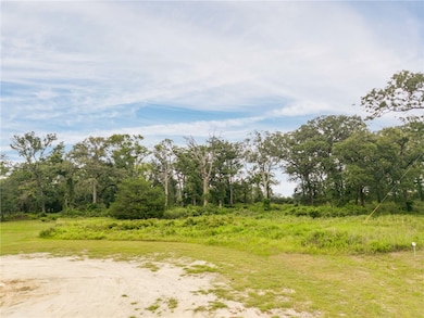 View of local wilderness
