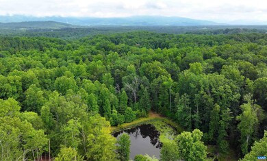 1293 Pounding Creek Rd, Charlottesville, VA 22903 - photo 2