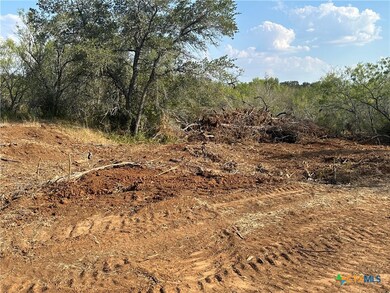 5894 Fm 1107 Unit B-Tract 1, Stockdale, TX 78160 - photo 5