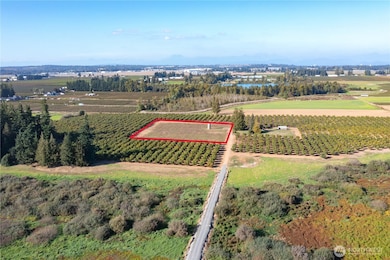 9919 Holmquist Rd, Lynden, WA 98264 - photo 5