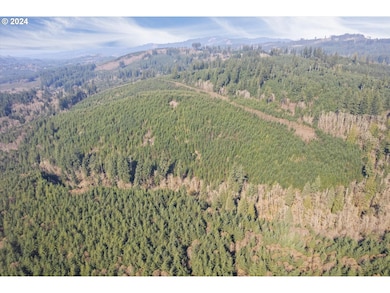 0 NE Cedar Mist Rd, Amboy, WA 98674 - photo 3