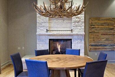501 Rio Grande Place unit 204, Aspen, CO 81611 - photo 5
