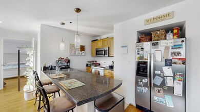 332 Jamaicaway unit 302, Jamaica Plain, MA 02130 - photo 3