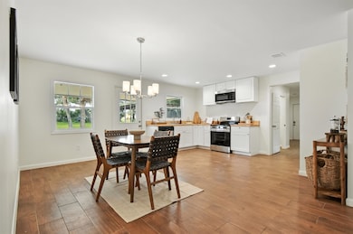 907 2nd Ave SE, Steinhatchee, FL 32359 - photo 4