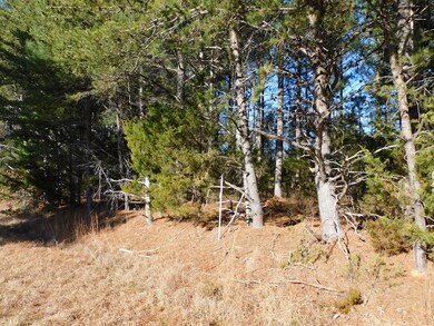 Mixed timber