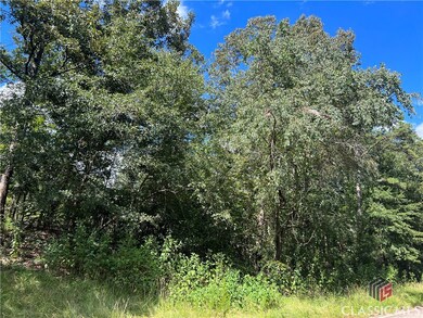 0 Davids Home Church Rd unit 1008882, Comer, GA 30629 - photo 2