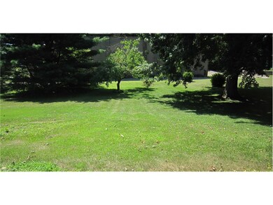 Almost 1/2 an acre of privacy in the backyard.