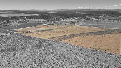 6548 County Road 100, Hesperus, CO 81326 - photo 6