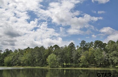 1930 Stonegate Cir, Tyler, TX 75703 - photo 5