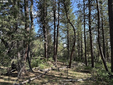 0 Sandpiper Dr unit 2300, Beatty, OR 97621 - photo 6