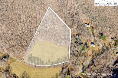 TBD Old Buffalo Trail, Boone, NC 28607 - photo 3