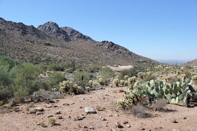 IMG_1835