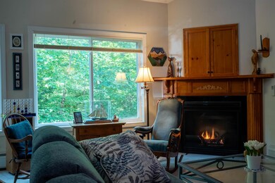 65 Nearledge Rd unit 14, Conway, NH 03812 - photo 7