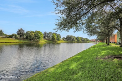 13819 Herons Landing Way unit 12, Jacksonville, FL 32224 - photo 4