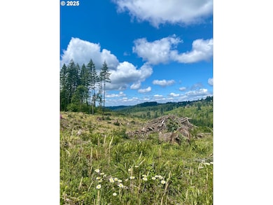 0 S Hult Rd, Beavercreek, OR 97004 - photo 2