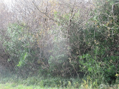 4 Driftwood Dr, Ocean City, WA 98569 - photo 2