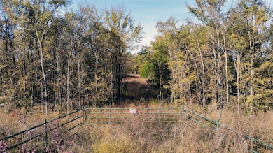 1439 Cedar Mills Rd, Gordonville, TX 76245 - photo 3