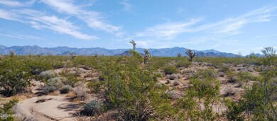 3332 W Yellow Bird Dr, Yucca, AZ 86438 - photo 3