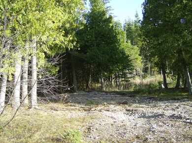 Lakefront Cleared Building Site