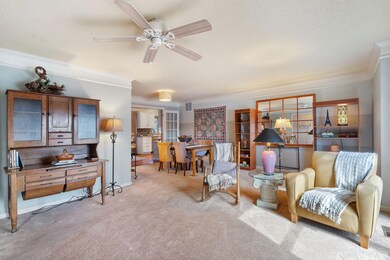 3-web-or-mls-DSC05515