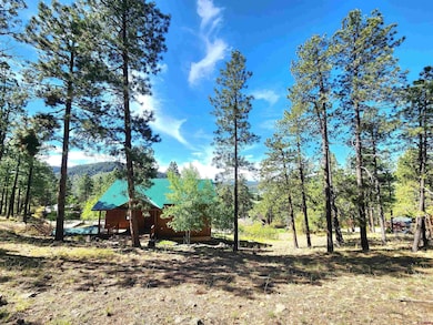 1043 Deer Ridge Dr, Bayfield, CO 81122 - photo 4