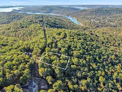 Lot 27 Talking Rocks Rd, Ruth C Township, MO 65737 - photo 2