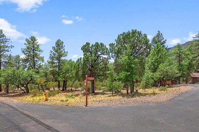 6737 W Kachina Cir, Pine, AZ 85544 - photo 5