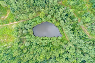 TBD Kimberling Rd, Bland, VA 24315 - photo 2