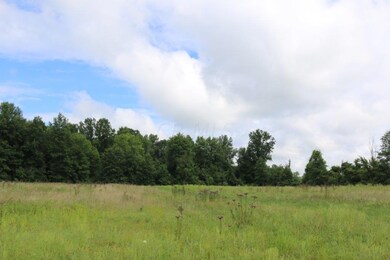 Lots start at the woods
