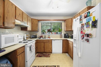 319 Maden St, Fredericksburg, VA 22407 - photo 5