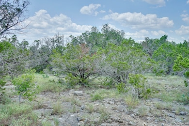 447 Coyote Trail, Spring Branch, TX 78070 - photo 3