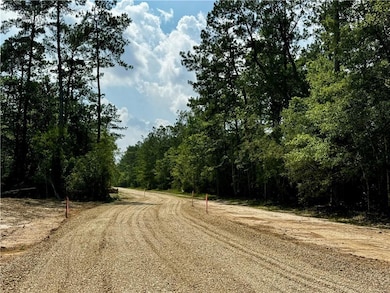 Lot 4 Ranchero Rd, Covington, LA 70435 - photo 2
