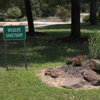 157 Campfire Way, Smithville, TX 78957 - photo 2