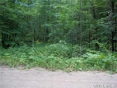 Land. upper corner of the property.