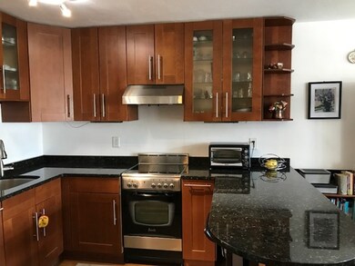 Hammond Park Condominiums unit 406, Chestnut Hill, MA 02467 - photo 2