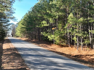 0 Allen Rd unit 140407, Lacrosse, VA 23950 - photo 3